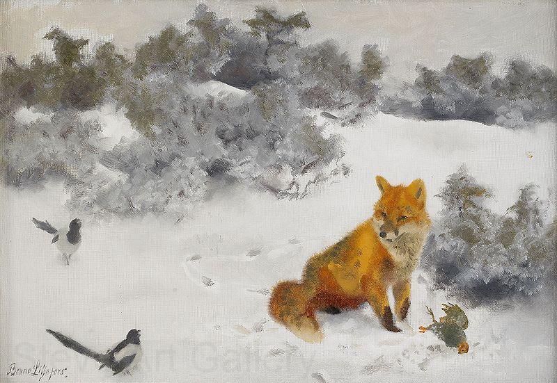 bruno liljefors Fox in Winter Landscape Norge oil painting art